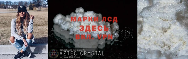 трава Инта