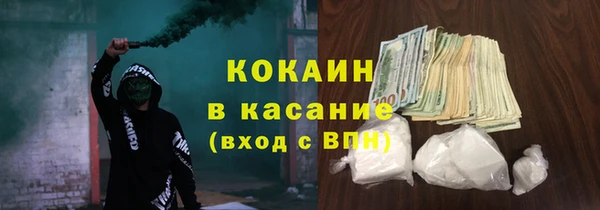 трава Инта