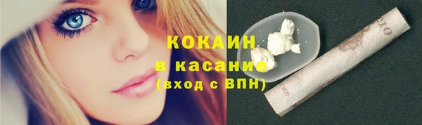 apvp Каменногорск