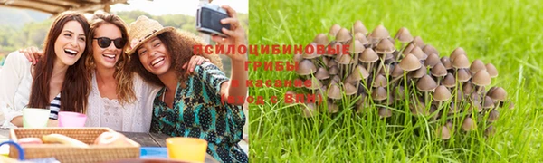 стафф Инсар