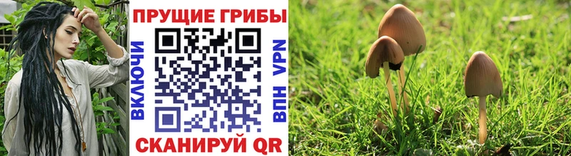 Галлюциногенные грибы MAGIC MUSHROOMS  Купить закладки  Игарка 